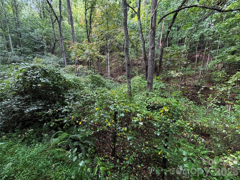TBD Big Pine Rd, Marshall, NC 28753