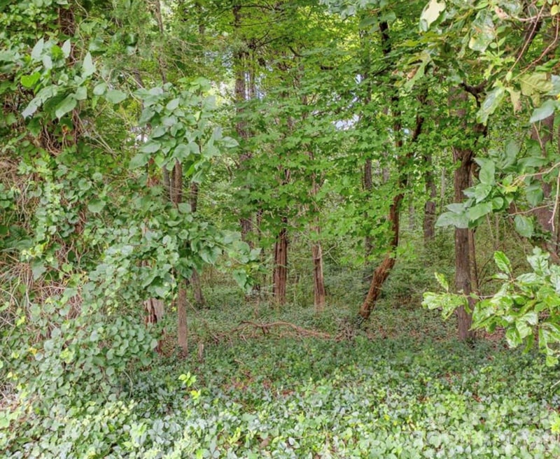 6700 Long Rd, Mint Hill, NC 28227
