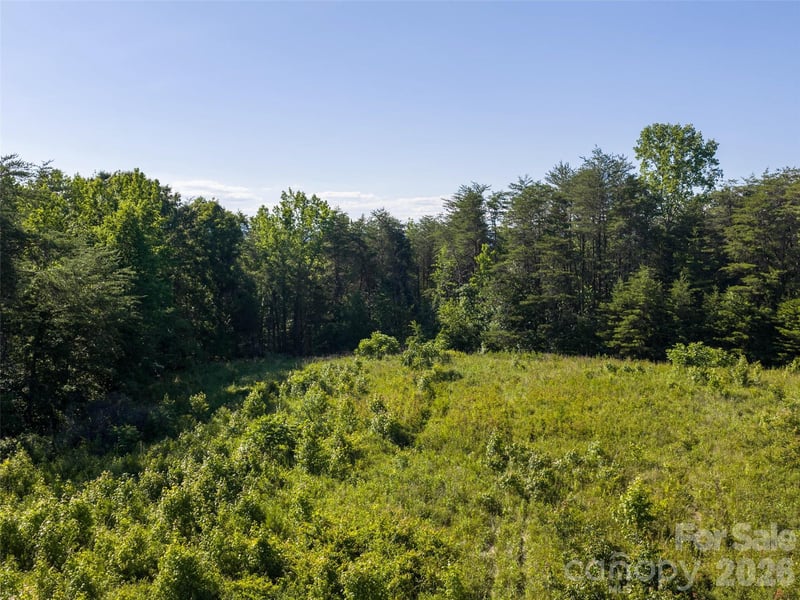 Lot 14 Saddleside Dr, Mill Spring, NC 28756