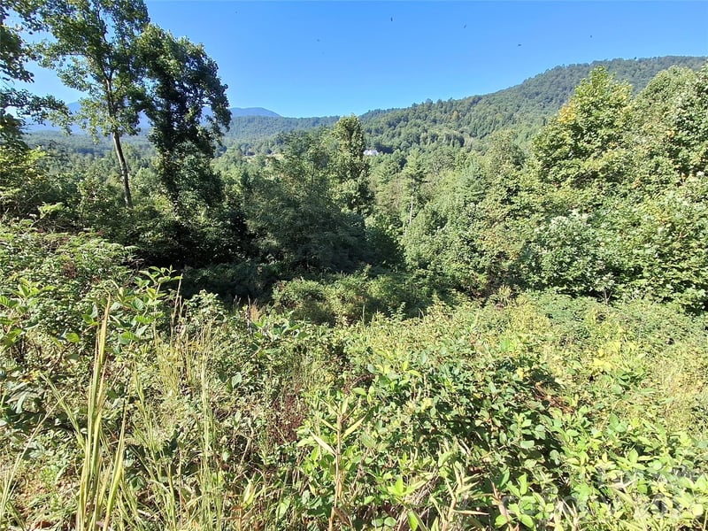 1 River Crest #1, Burnsville, NC 28714