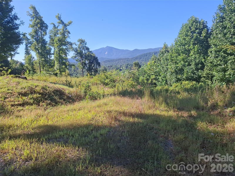1 River Crest #1, Burnsville, NC 28714