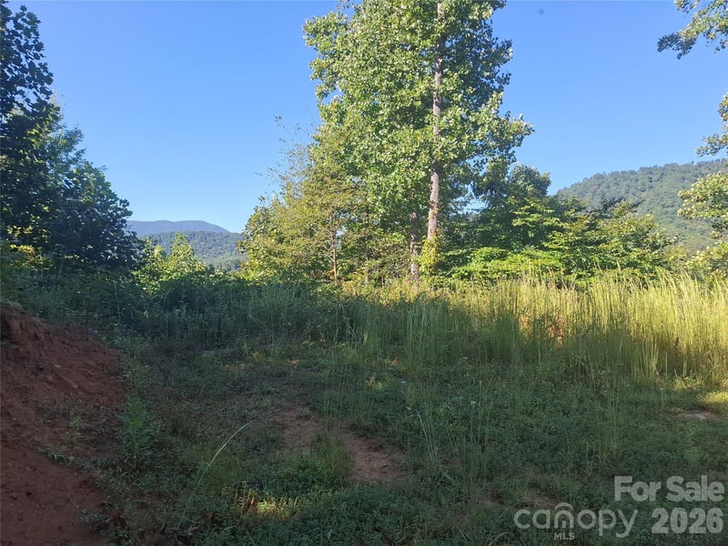 1 River Crest #1, Burnsville, NC 28714