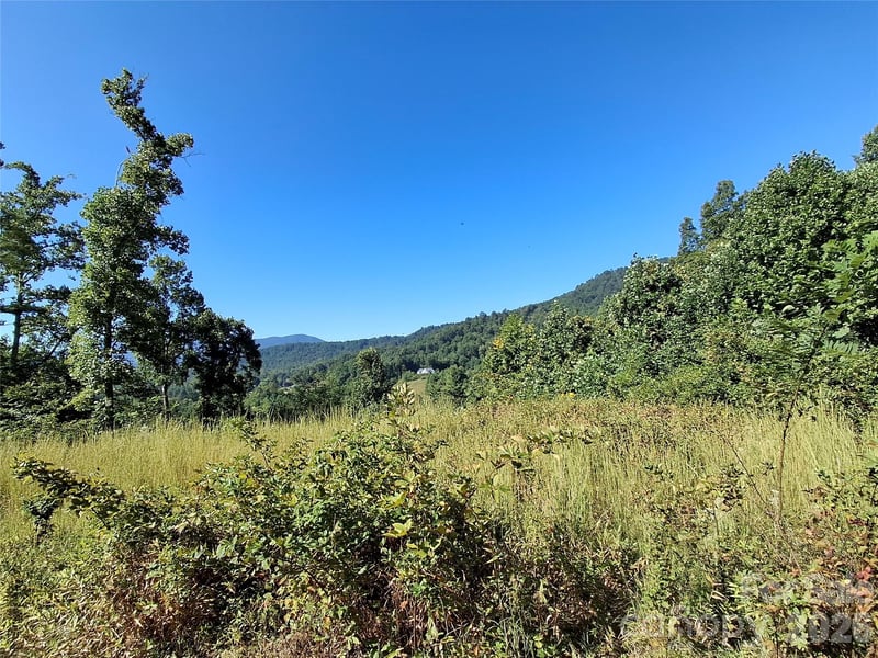 1 River Crest #1, Burnsville, NC 28714