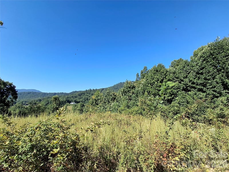 1 River Crest #1, Burnsville, NC 28714