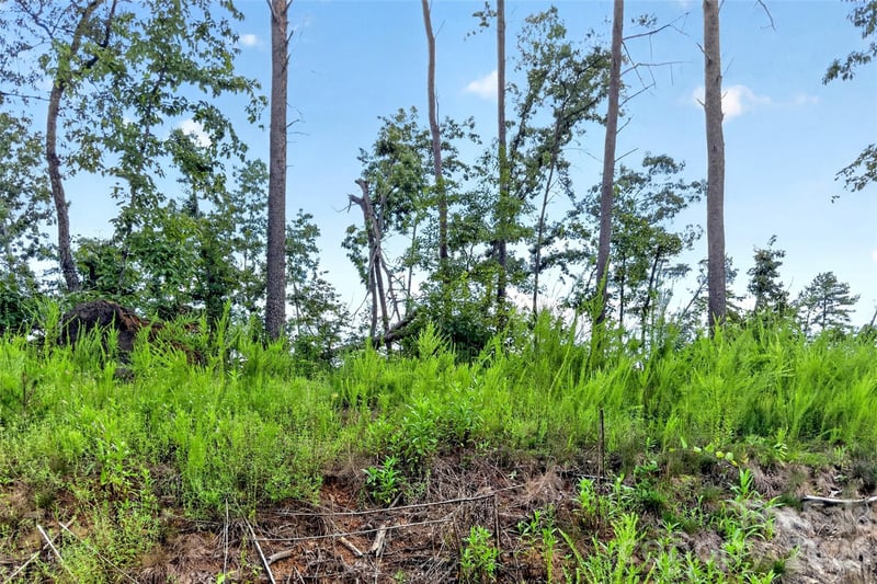 TBD Antioch Rd, Lake Lure, NC 28746