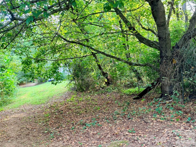 173 - 175 Dix Creek Chapel Rd, Asheville, NC 28806
