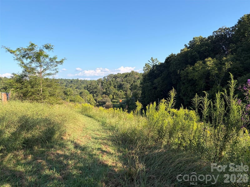 4401 Meadows Town Rd, Marshall, NC 28753