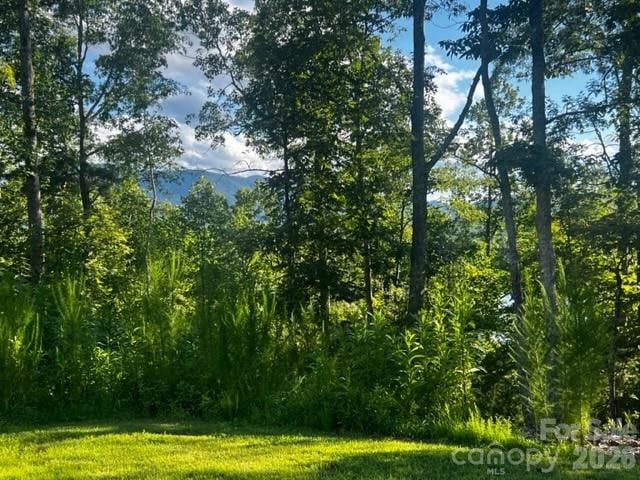 23 Mountain Pw, Mill Spring, NC 28756