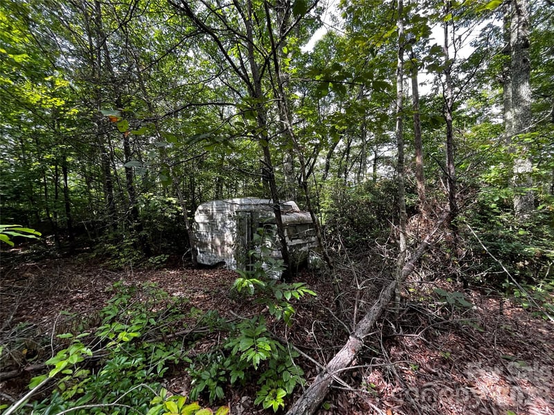 462 Autumn Forest Dr, Gerton, NC 28735