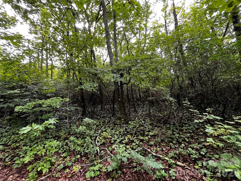 462 Autumn Forest Dr, Gerton, NC 28735