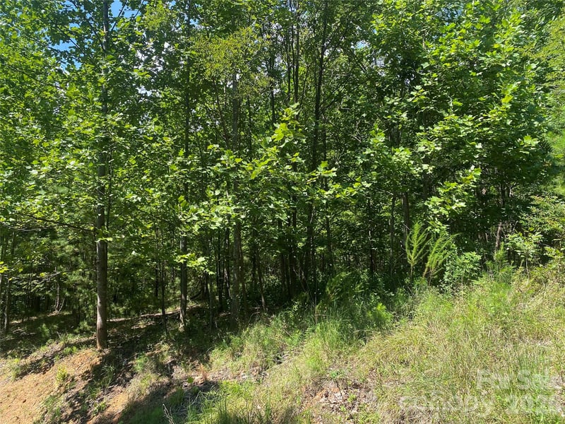 0000 Rock Ledge Dr, Lake Lure, NC 28746