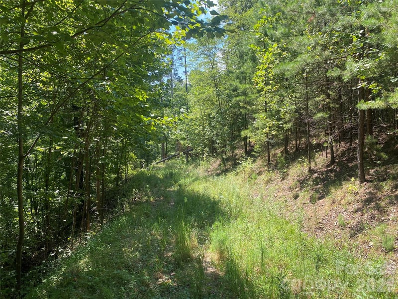 0000 Rock Ledge Dr, Lake Lure, NC 28746