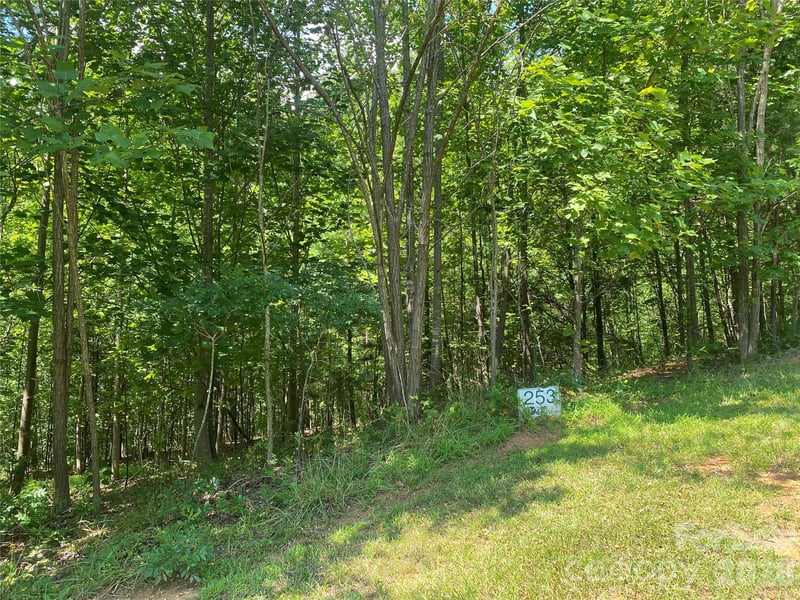 0000 Rock Ledge Dr, Lake Lure, NC 28746