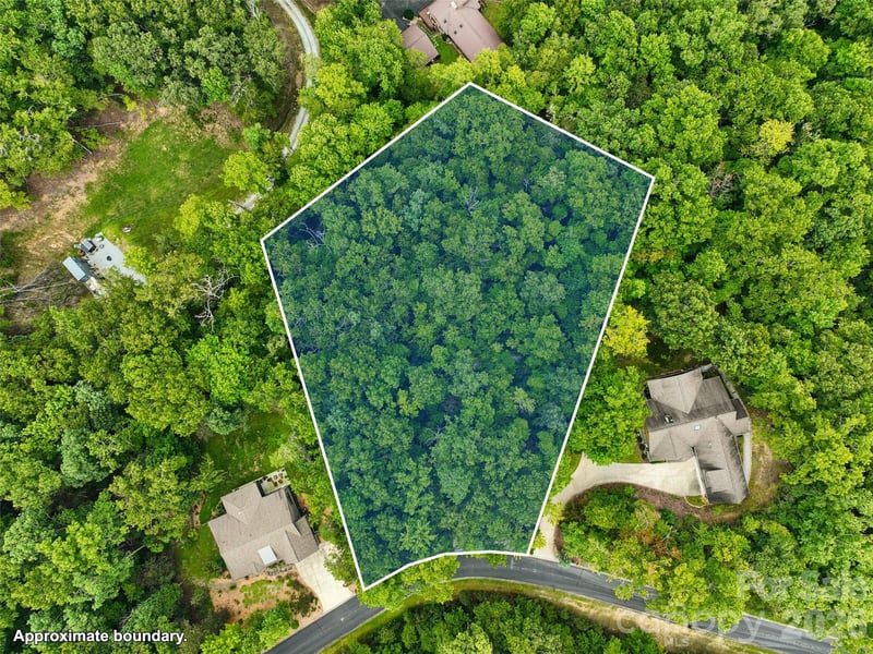 230 Shining Rock Pa #64, Horse Shoe, NC 28742