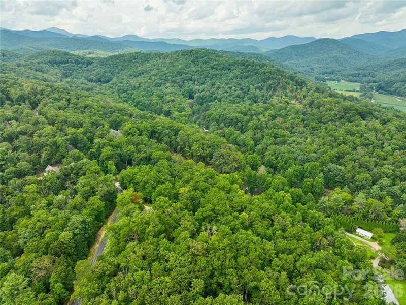 230 Shining Rock Pa #64, Horse Shoe, NC 28742