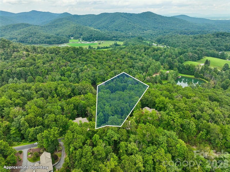 230 Shining Rock Pa #64, Horse Shoe, NC 28742