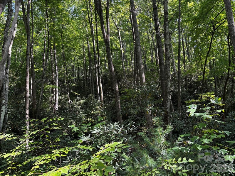 00 Burnette Reeves Rd, Leicester, NC 28748