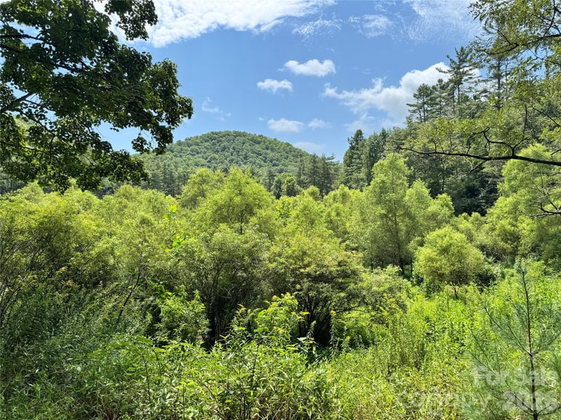 361 Rooster Cv, Brevard, NC 28712