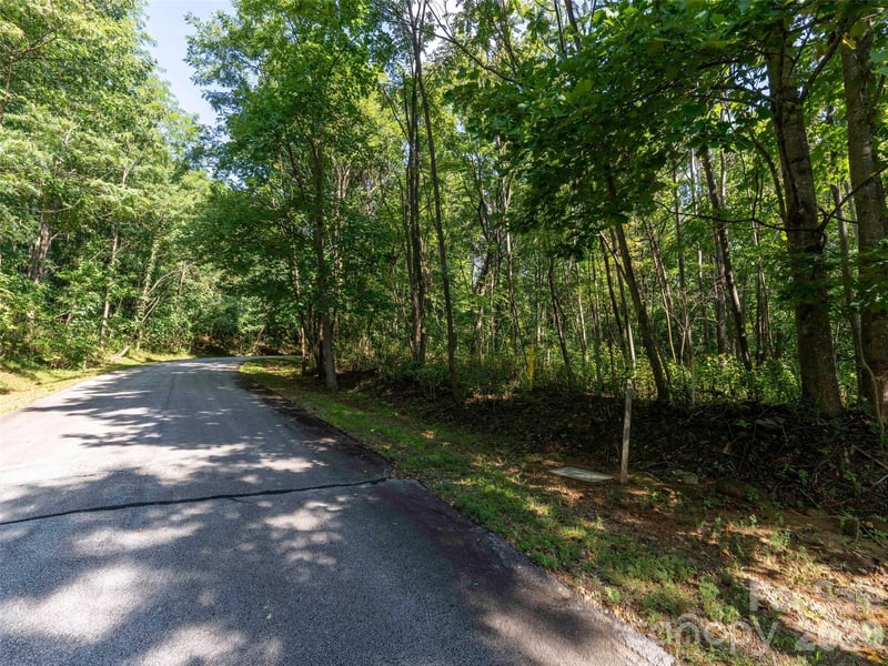 0 Cherry Hill #221, Mill Spring, NC 28756