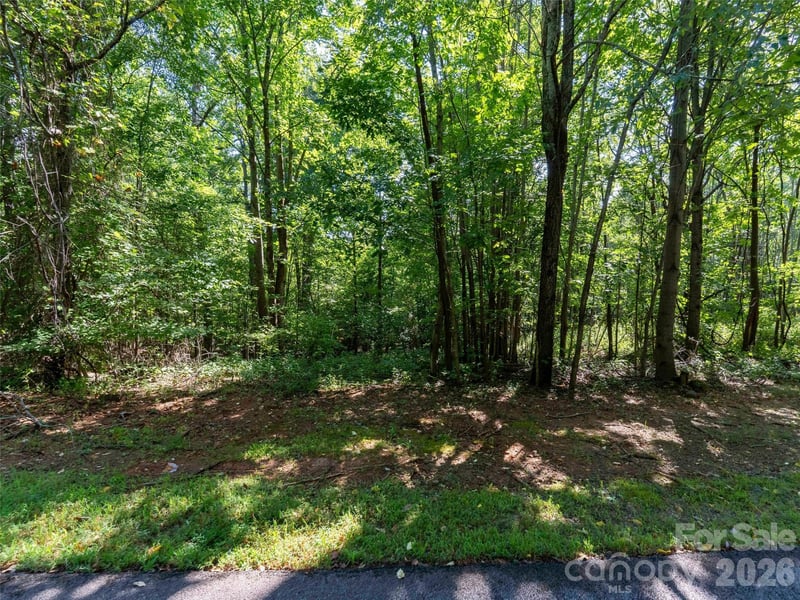 0 Cherry Hill #221, Mill Spring, NC 28756