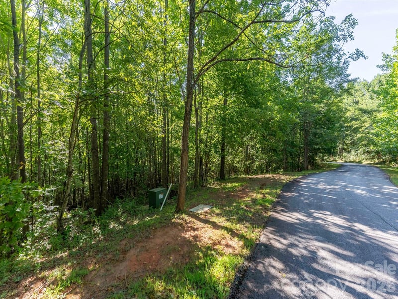 0 Cherry Hill #221, Mill Spring, NC 28756