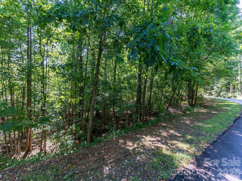 0 Cherry Hill #221, Mill Spring, NC 28756