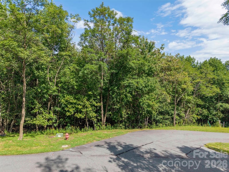 0 Deep Gap Farm Rd W #2040, Mill Spring, NC 28756