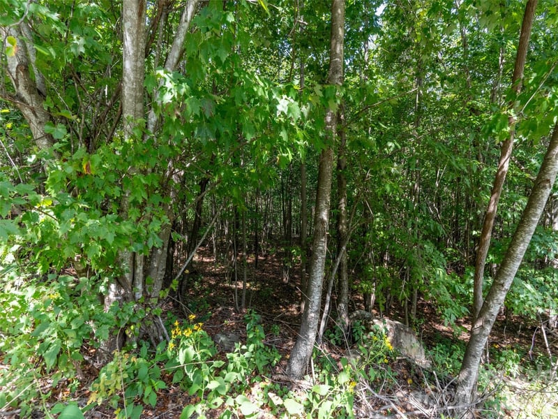 0 Deep Gap Farm Rd W #2040, Mill Spring, NC 28756