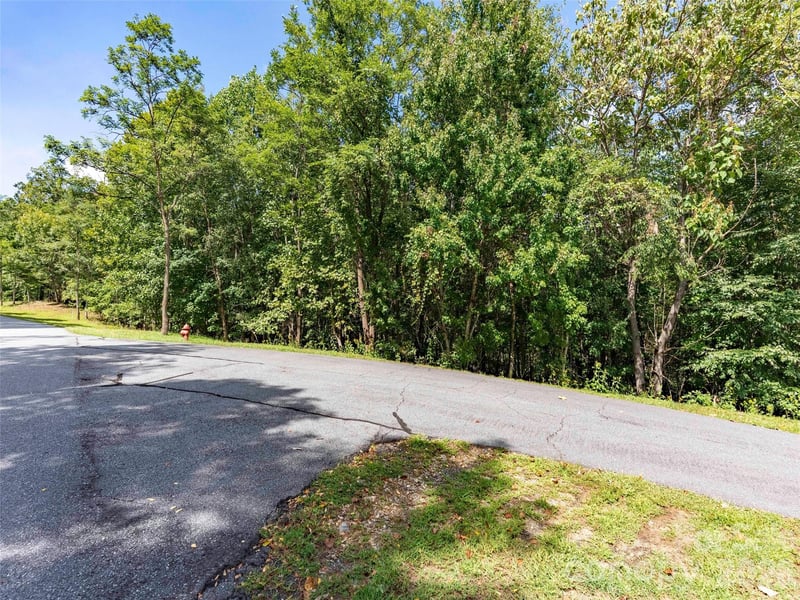0 Deep Gap Farm Rd W #2040, Mill Spring, NC 28756