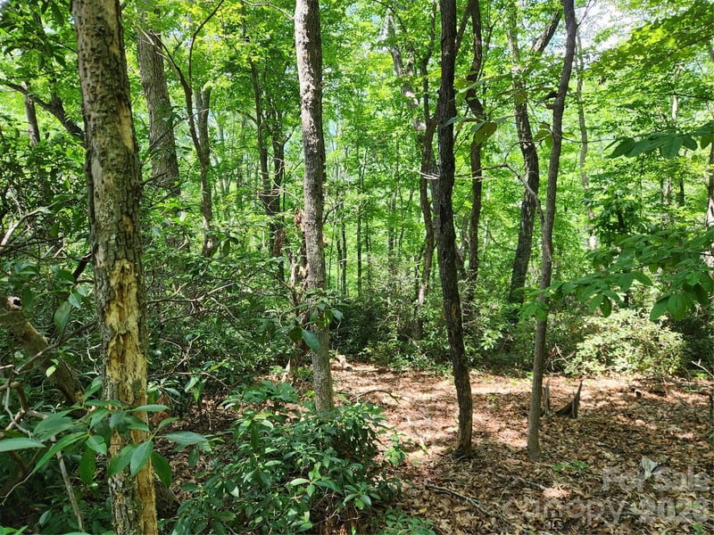 0 Banjo Ct, Lake Lure, NC 28746
