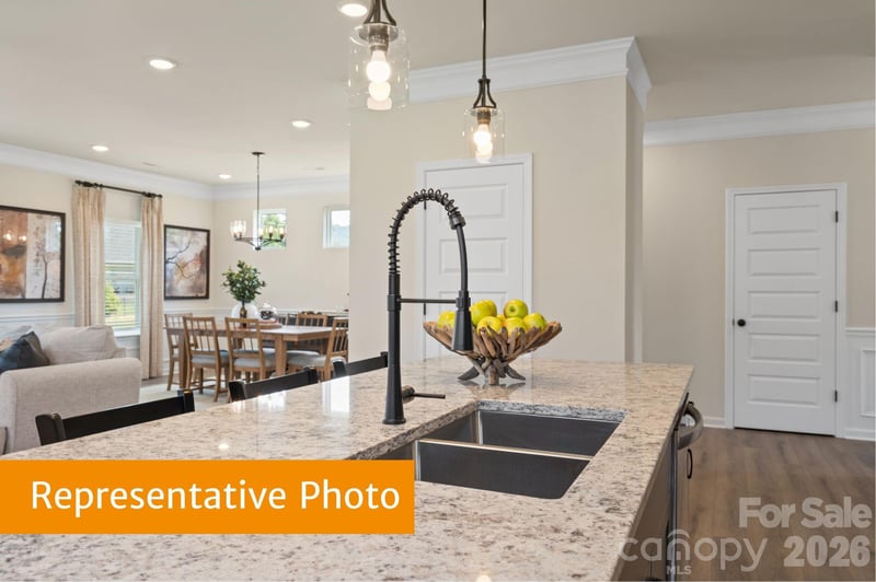 4232 Ruth Creek Ct, Charlotte, NC 28216
