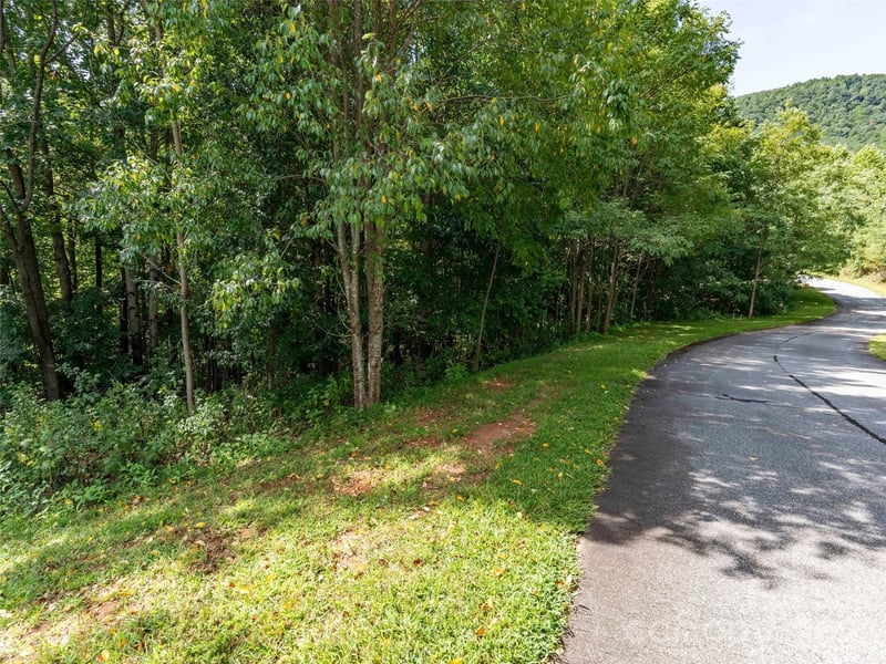0 Deep Gap Farm Rd W #2061, Mill Spring, NC 28756