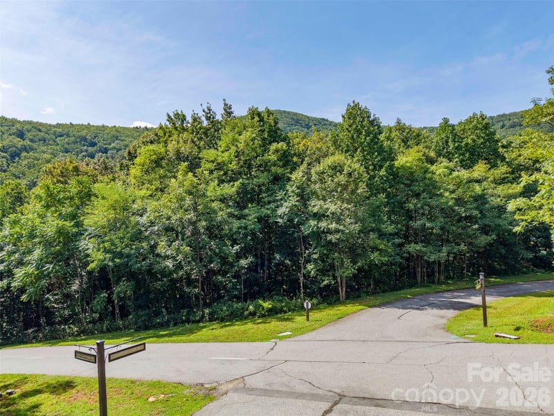 0 Deep Gap Farm Rd W #2061, Mill Spring, NC 28756