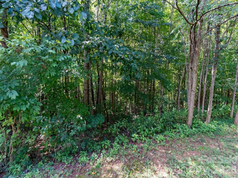 0 Deep Gap Farm Rd W #2061, Mill Spring, NC 28756