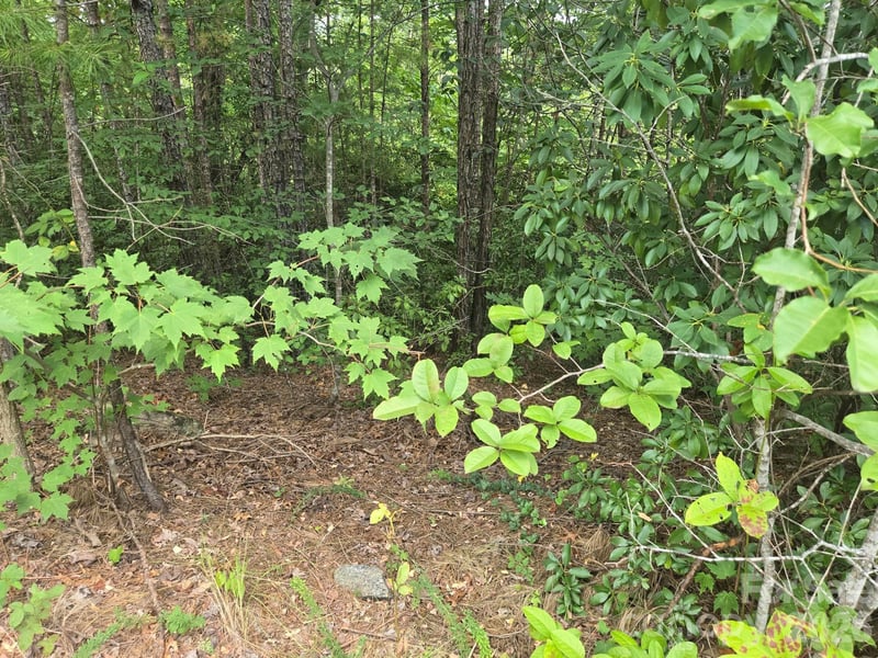 Lot 18 Highland Hts, Lake Lure, NC 28746