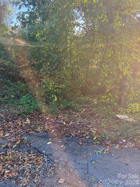 99999 Reese St, Woodfin, NC 28804