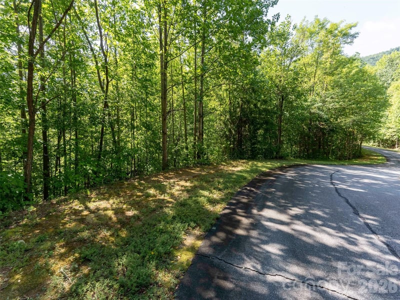 0 Anthony Ct #2070, Mill Spring, NC 28756