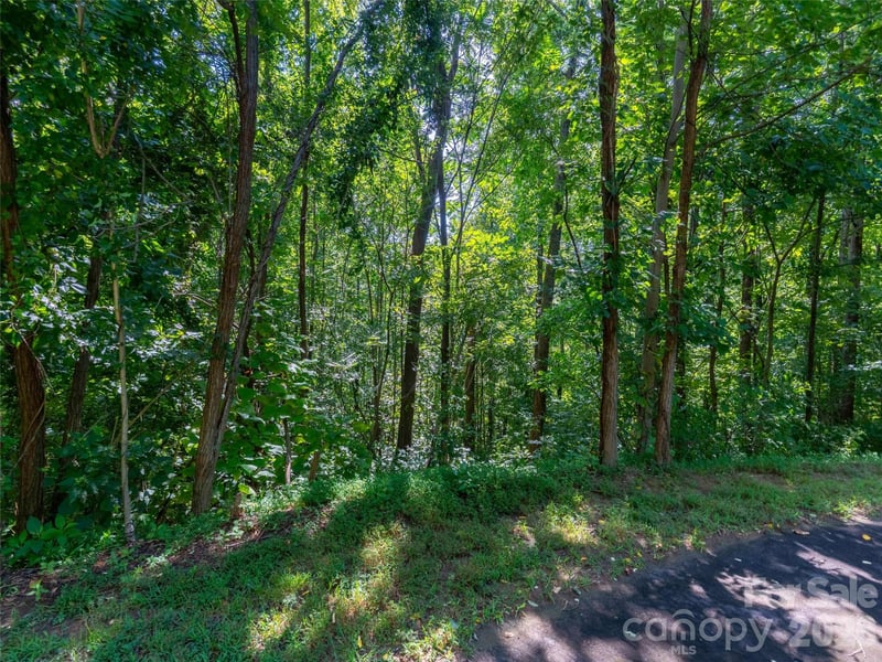 0 Harm Creek Loop #2142, Mill Spring, NC 28756