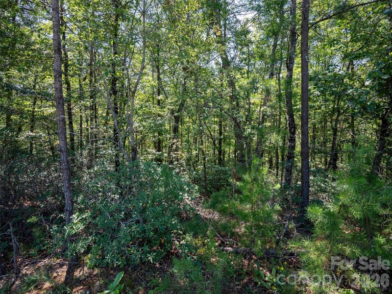 0 Deep Gap Farm Rd W #2007, Mill Spring, NC 28756