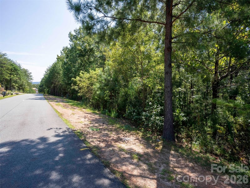 0 Deep Gap Farm Rd W #2007, Mill Spring, NC 28756