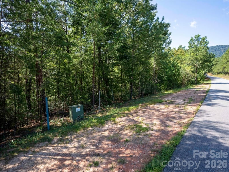 0 Deep Gap Farm Rd W #2007, Mill Spring, NC 28756