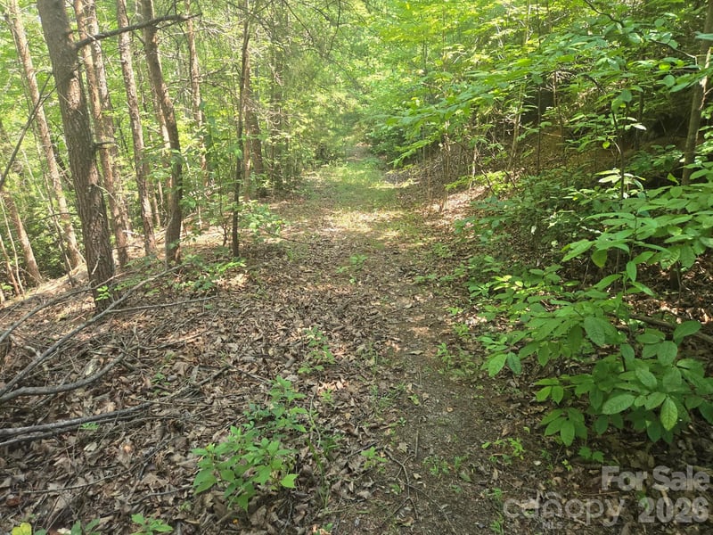 Lot 1 - 2 Eagles Crest Way, Lake Lure, NC 28746
