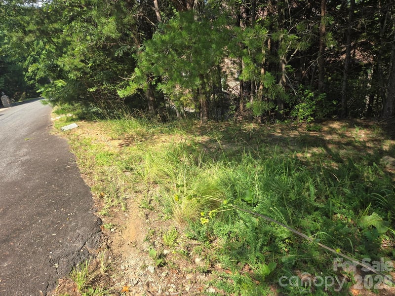 Lot 1 - 2 Eagles Crest Way, Lake Lure, NC 28746