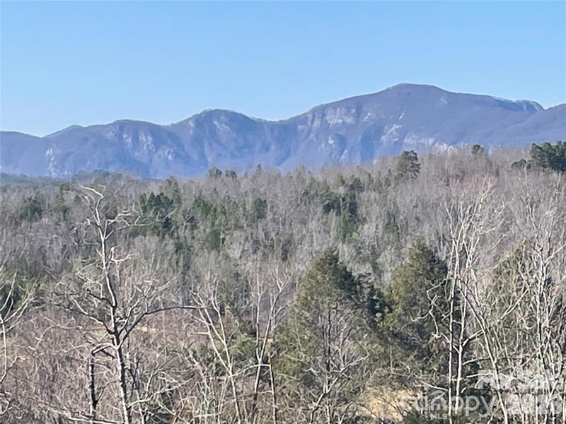 0 S Cross Creek Trl #17, Mill Spring, NC 28756