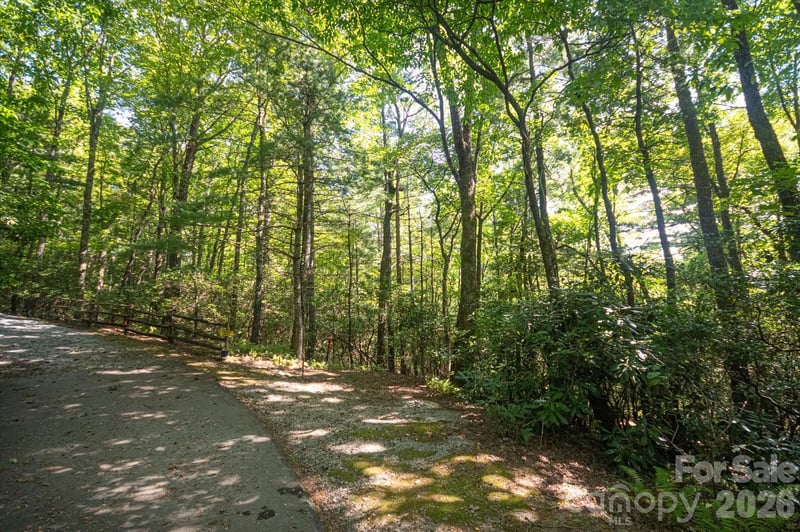 TBD Blue Ridge Rd, Lake Toxaway, NC 28747