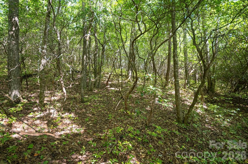 TBD Blue Ridge Rd, Lake Toxaway, NC 28747
