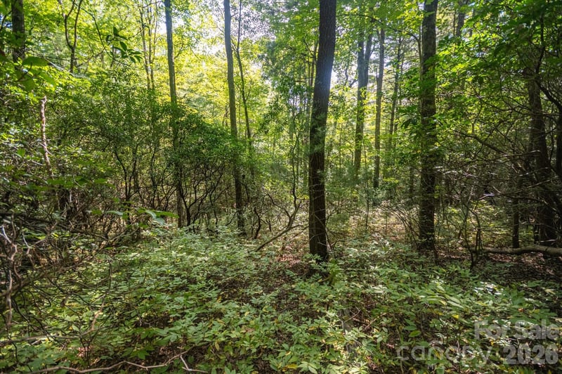 TBD Blue Ridge Rd, Lake Toxaway, NC 28747