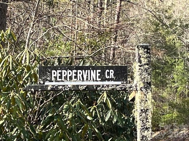000 Peppervine Cir, Rosman, NC 28772