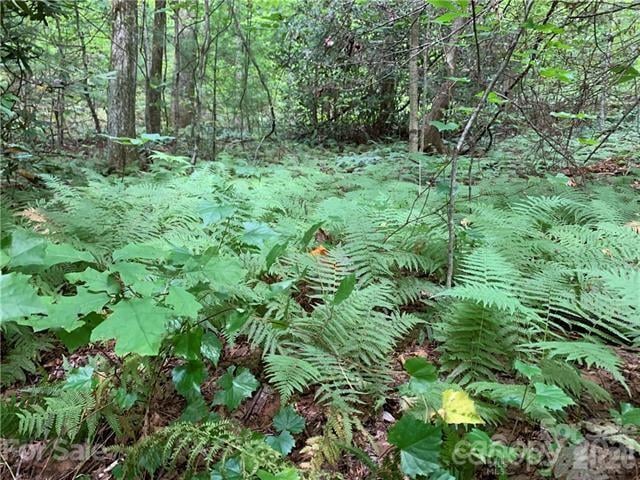 000 Peppervine Cir, Rosman, NC 28772