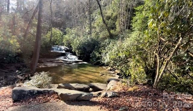 000 Peppervine Cir, Rosman, NC 28772